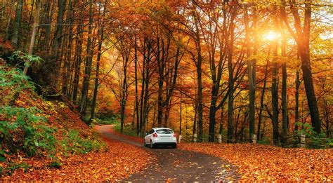 October Is Fall Car Care Month — Give Your Vehicle Some Tlc By Victor