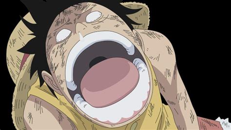 Luffy Crying Over Usopp