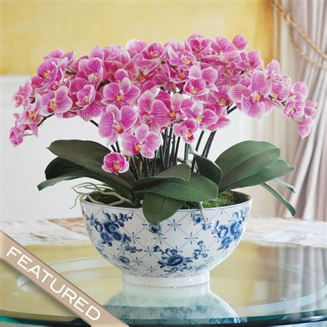 ECLECTICE PHALAENOPSIS ORCHID CENTERPIECE (DP770-PUWH) | Orchid flower arrangements, Orchid ...