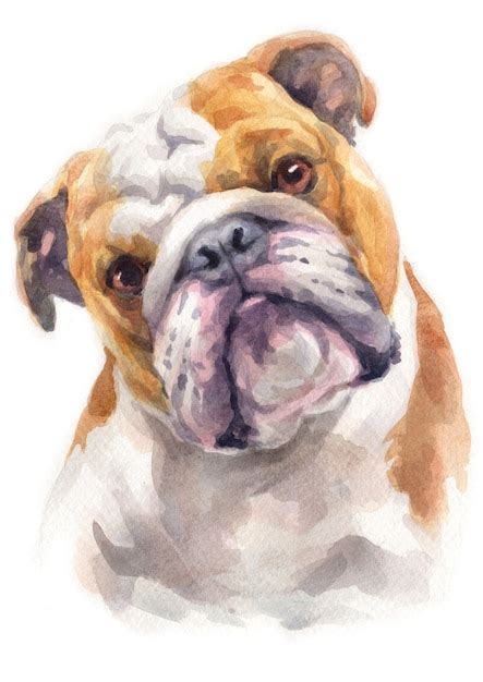 Premium Photo Watercolor Painting Of Bulldog