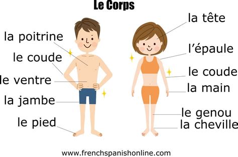 This Week Learn The Vocabulary Of The Body In French Goo Gl 8bfmcd An Expression C