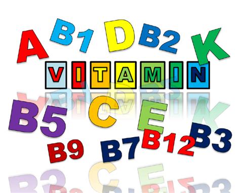 13 Jenis Vitamin Dan Manfaatnya Bagi Tubuh Kita Berbagi Ilmu