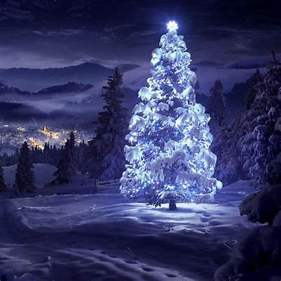 Christmas Ipad Wallpapers Tree Snow Night Noel