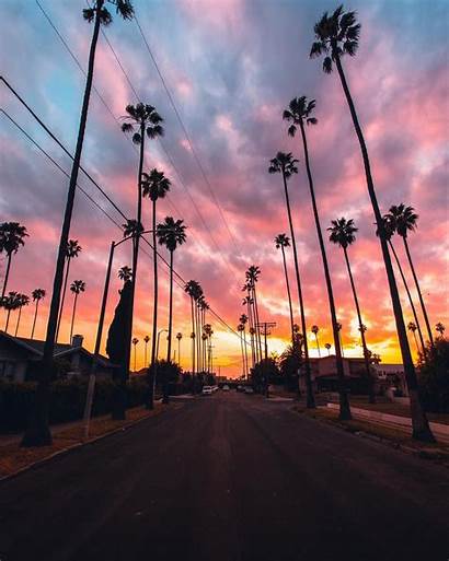Palm California Trees Iphone Wallpapers Aesthetic Sunset