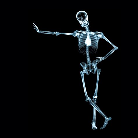 X Ray Skeleton Ipad 34 And Air Wallpaper Id 29979 Cool Wallpapers