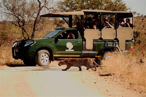 Kruger National Park Safaris View Our Latest Images