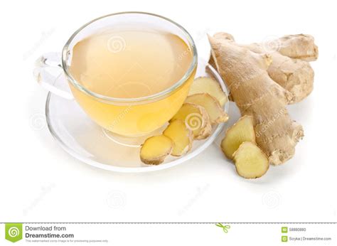 Tea With Ginger Root Stock Photo Image Of Bright Liquid 58880880