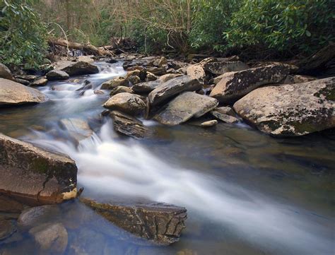 Creek Through Great Smoky Mountains National Park Photograph By Brendan