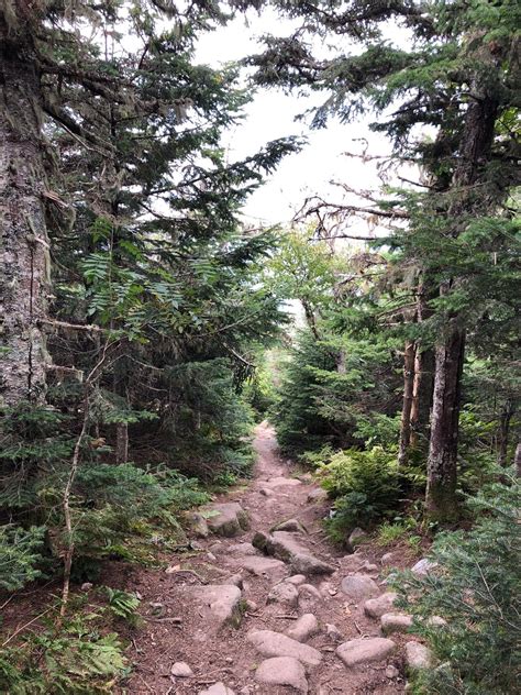 Mount Jefferson Via Caps Ridge Trail New Hampshire Alltrails