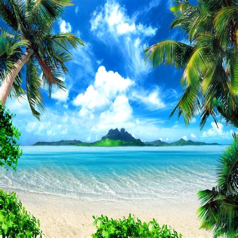 Tropical Beach Photo Backdrop 10x10ft Large Vinyl Photo Backdrop Summer