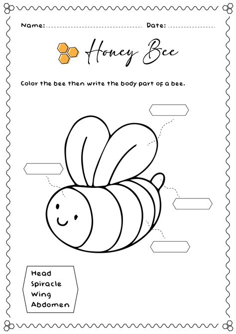12 Bee Worksheets For First Graders Free PDF At Worksheeto