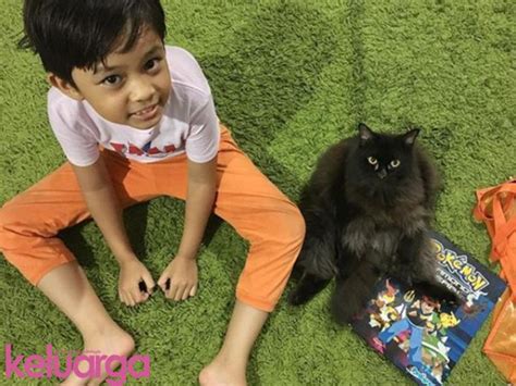 Discover exclusive deals and reviews of baju kucing comel malaysia online! Inilah Cara Paling Mudah & Berkesan Uruskan Najis Kucing ...