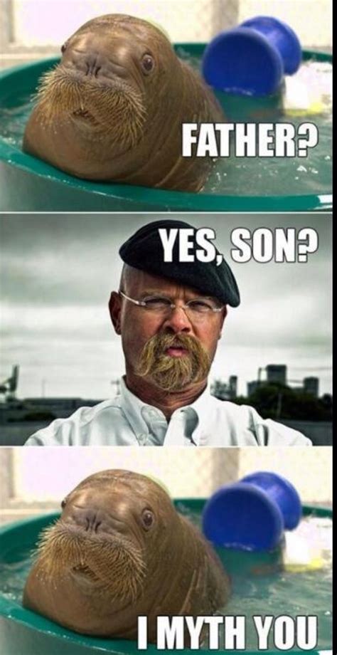 the best mythbusters memes memedroid