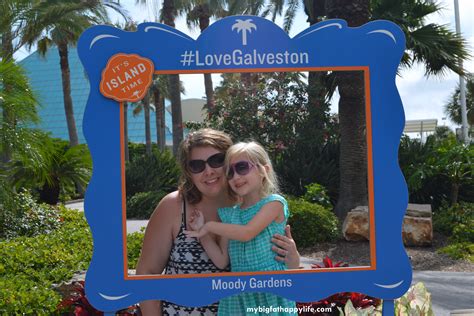 Shoppers save an average of 18.8% on purchases with dreamy presets issues coupon codes a little less frequently than other websites. Tips for Having a Great Trip to Moody Gardens + Coupon ...