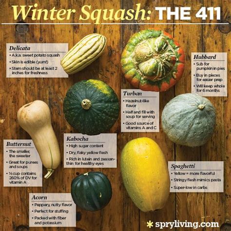 7 Best Squash Varieties Images On Pinterest Pumpkin Varieties