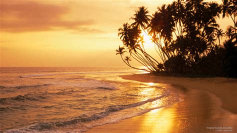 Tropical Sunset Sri Lanka Sunset Pretty Pictures