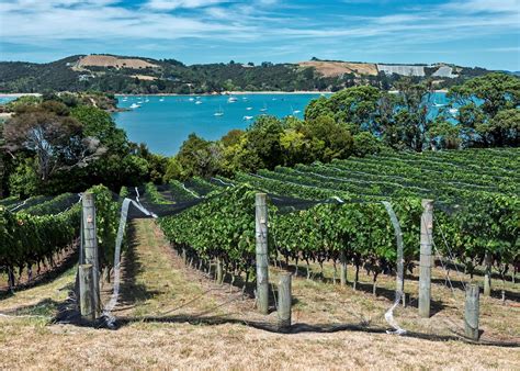 Waiheke Island Wine Tour Audley Travel Us