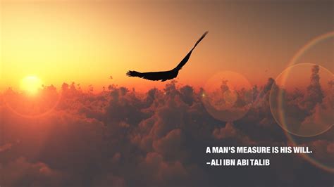Eagle Ali Ibn Abi Talib Quote Islam Nature Imam Sunset