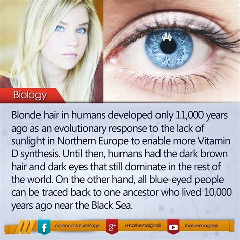 Pin By Shiri On Random Stuff Hair Facts Blonde Hair Facts Blue Eye