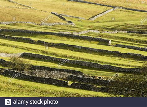 Dry Stone Walls Near Malham Yorkshire Dales National Park Yorkshire