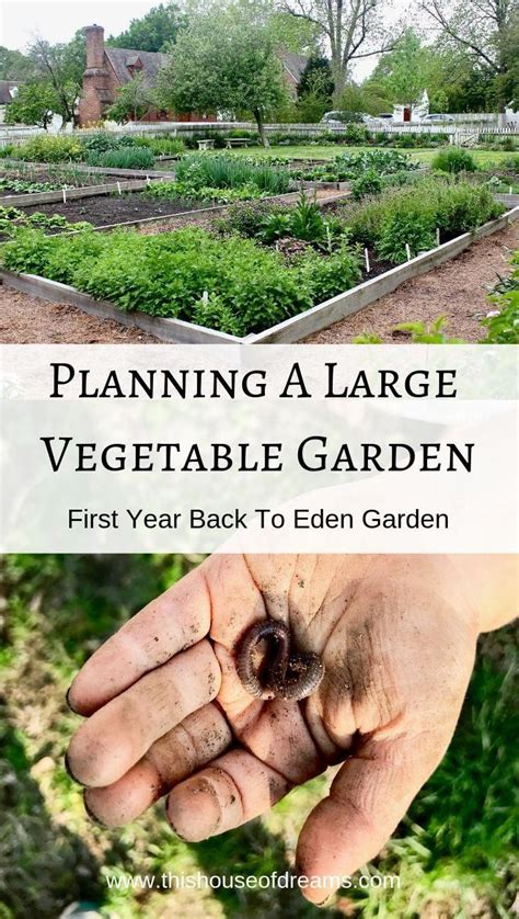 Planning A Large Vegetable Garden First Year Back To Eden