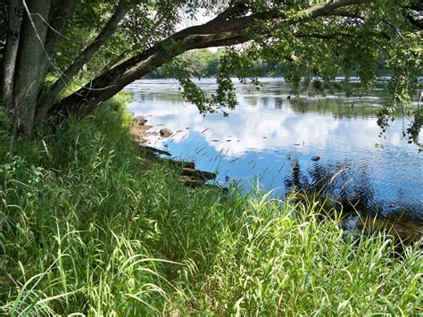 Free Images Landscape Tree Nature Forest Grass Outdoor Swamp