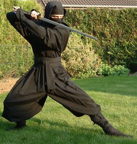 Ninja Vs Samurai Whats The Difference Question Japan