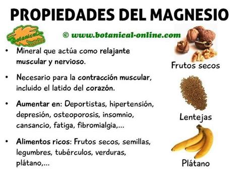 Propiedades Del Magnesio Beef Fruit Fibro Food Vitamins Lentils
