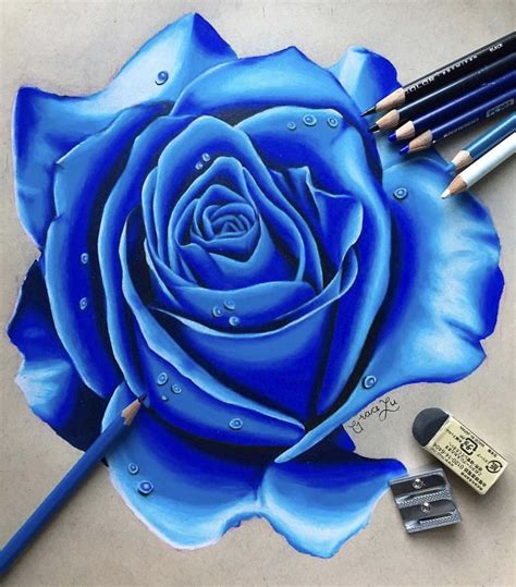 Realistic Blue Rose Drawing