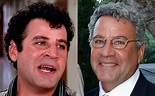 Michael Tucci sonny from grease | Stars then and now, Sonny grease ...