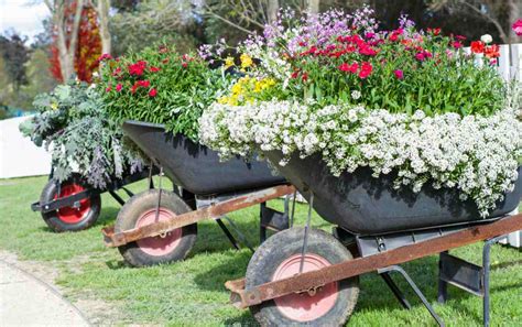 Diy Wheelbarrow Planter Ideas Wheelbarrow Garden Planters