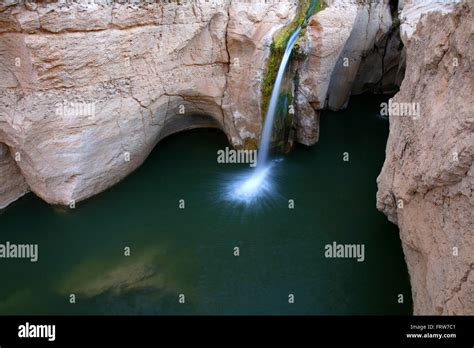 Tunisia Lake With Waterfall At Tamerza Stock Photo Alamy