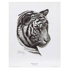 16 meilleures idées sur Tete de tigre tete de tigre dessin tigre