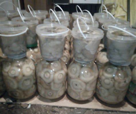 Соленые грузди при диете