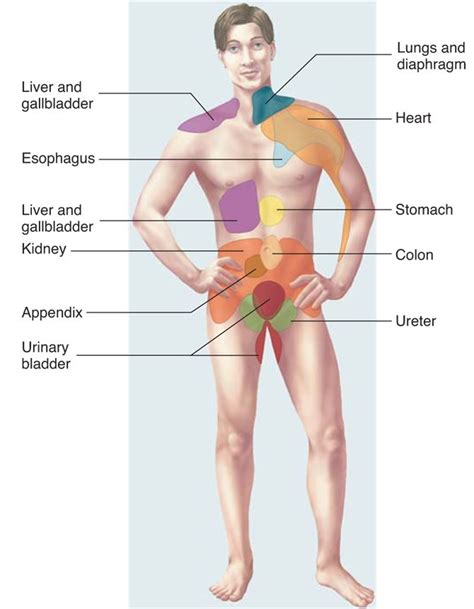 Addisons sykdom er en tilstand knyttet til binyrene. Smertesyndromer | Pensumbesvarelse for Humanbiologi og ...