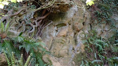 Colmers Hill And Shutes Lane Symondsbury Millbrook Bandb Swanage