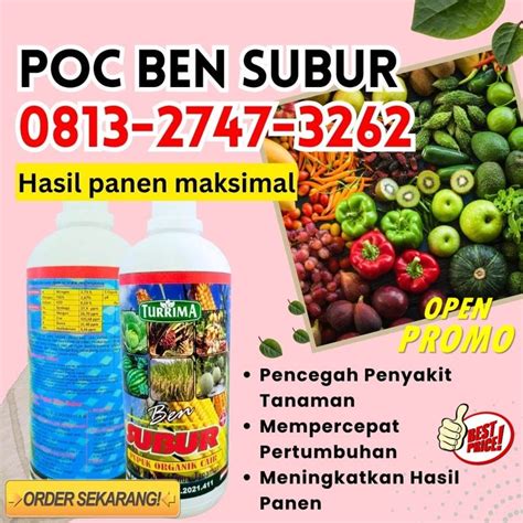 Harga Khusus 081327473262 Produsen Pupuk Organik Terbaik Kota