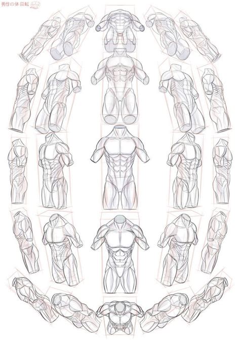 Male Body In Perspective Drawings Perspective Art Body Reference