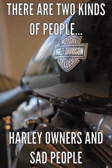 Best Harley Riding Memes Let S See Em Page 7 Harley Davidson Forums Harley Davidson