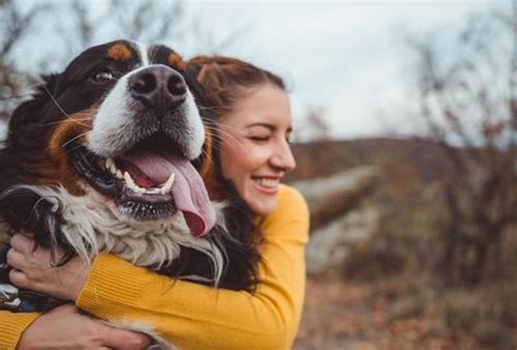 8 Reasons You Should Adopt Your Next Dog
