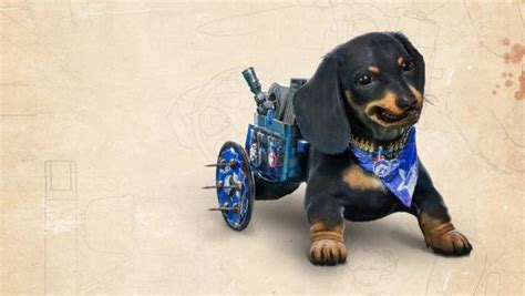 Apparently far cry 6 has been in development for 4 years, even before 5 was released. 'Far Cry 6's' Chorizo is The World's Cutest Killing Machine