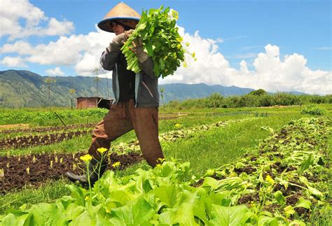 Keuntungan Agrowisata untuk Petani
