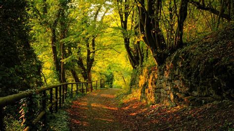 Nature Desktop Backgrounds - Wallpaper Cave