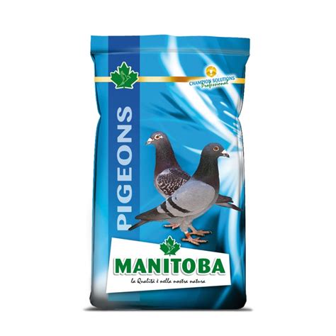 Viimeisimmät twiitit käyttäjältä christian_artuso (@birds_manitoba). Buy Manitoba Top Sport Super Class Pigeon Mix Food, 25kg ...