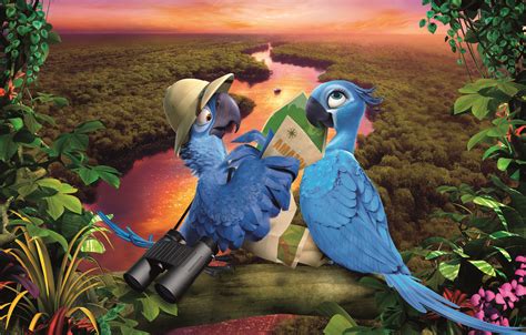 Wallpaper Letter Flowers Birds River Jungle Parrots Brazil Rio