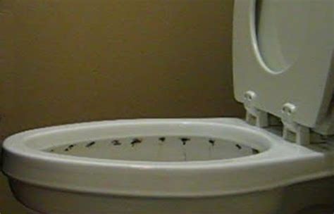Details 123 Black Ring In Toilet Bowl Best Vn