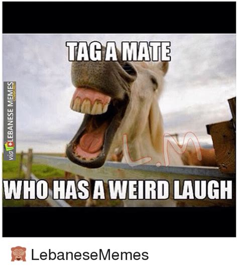 Via Lebanese Memes Vla Aga Mat Who Has A Weird Laugh 🙈 Lebanesememes