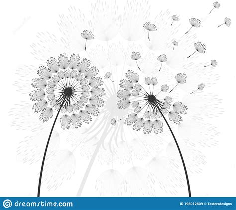 Vector Illustration Dandelion Time Dandelion Seeds Blowing In The Wind