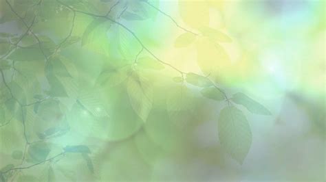 Pastel Nature Website Background Pre Sized And By Bargainbinshop