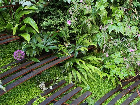 Ideas For Very Steep Gardens Fasci Garden